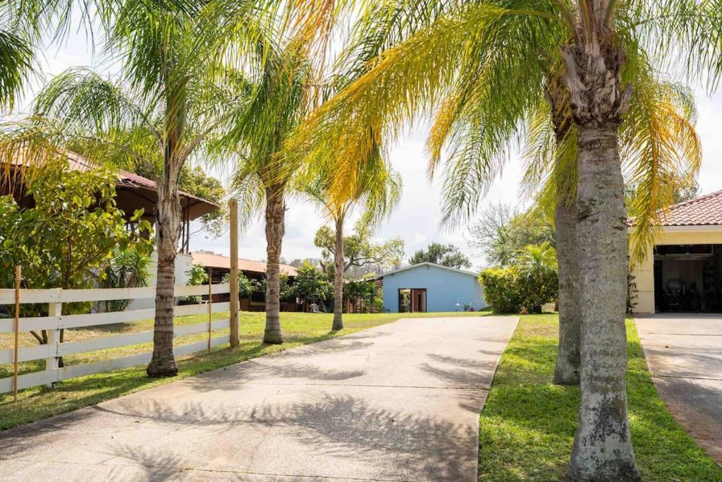 Appartamento Tampa Bay Oasis Tarpon Springs Esterno foto