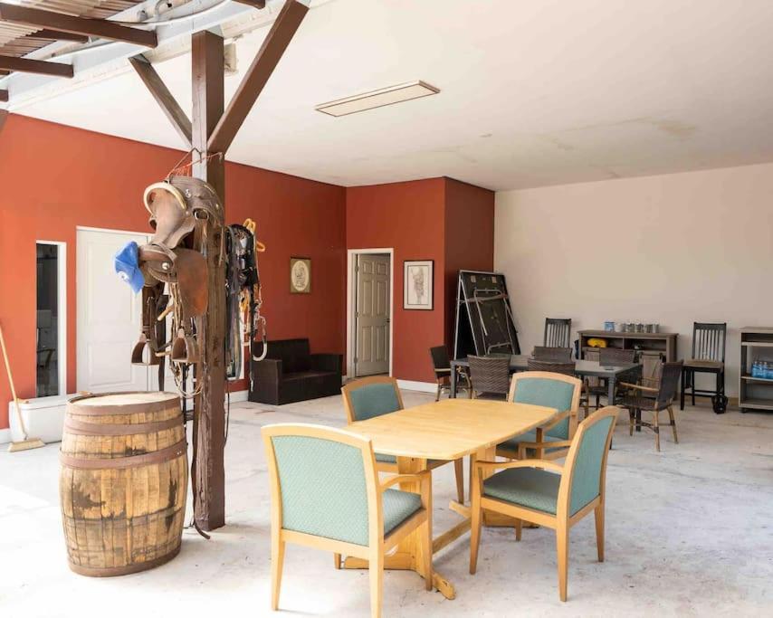 Appartamento Tampa Bay Oasis Tarpon Springs Esterno foto