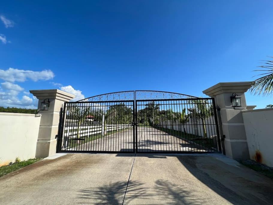 Appartamento Tampa Bay Oasis Tarpon Springs Esterno foto